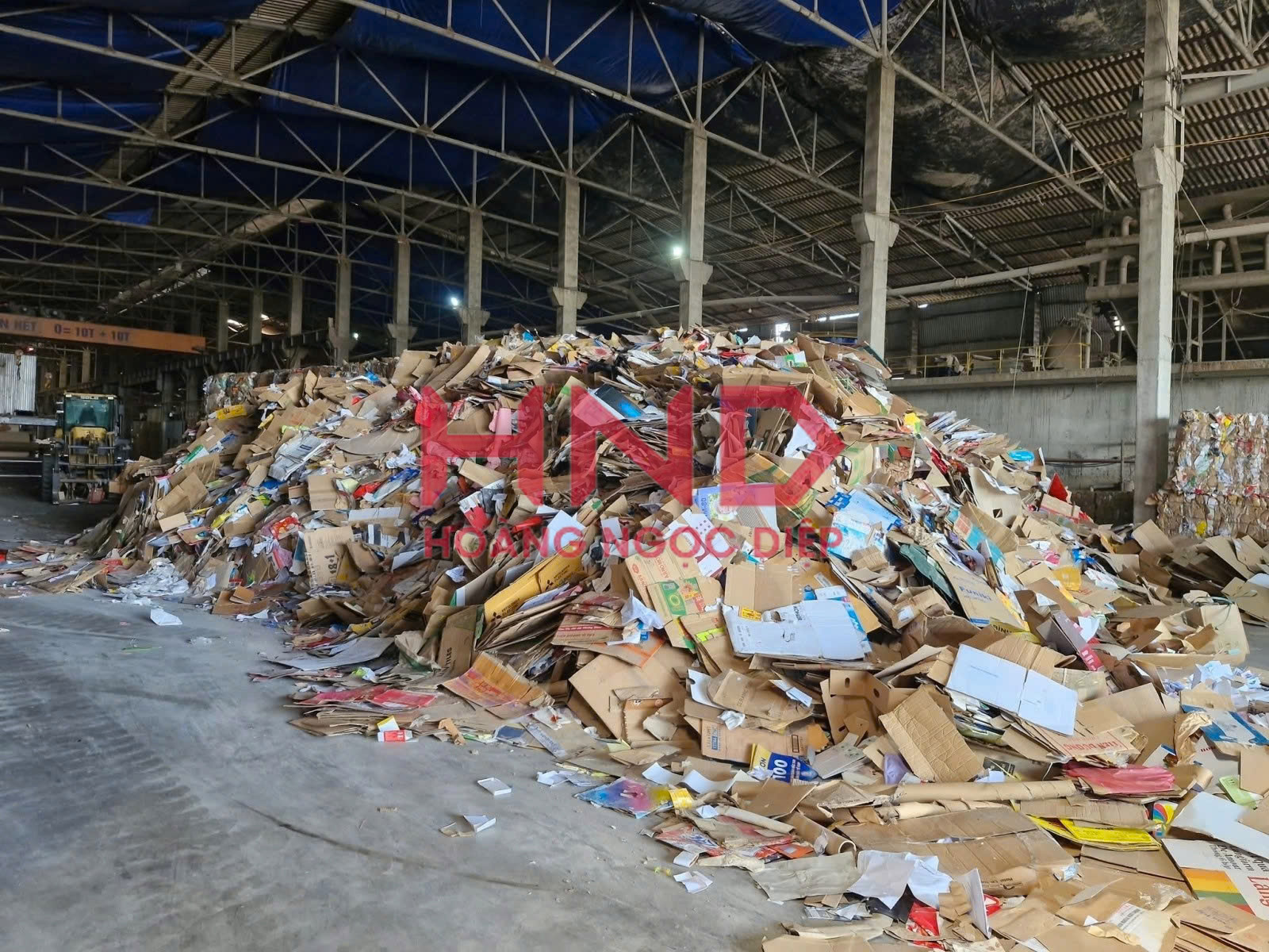thu mua phế liệu giấy