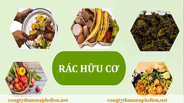 Rác hữu cơ là gì?