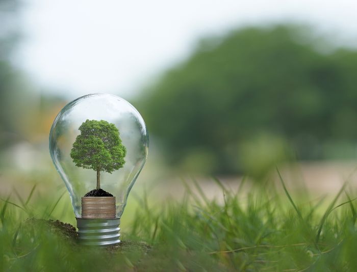 su tac dong cua viec tai che nhua den moi truong