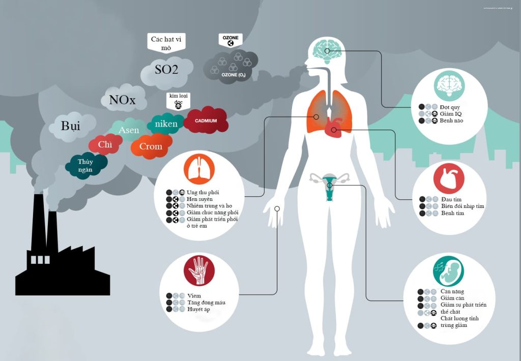 ô nhiễm môi trường