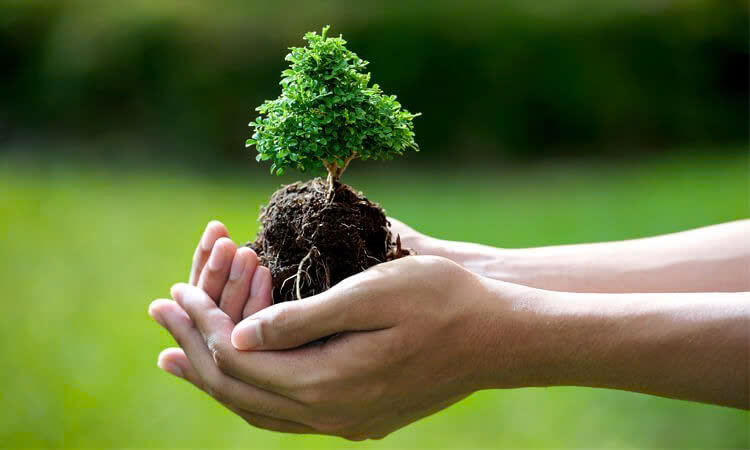 ô nhiễm môi trường