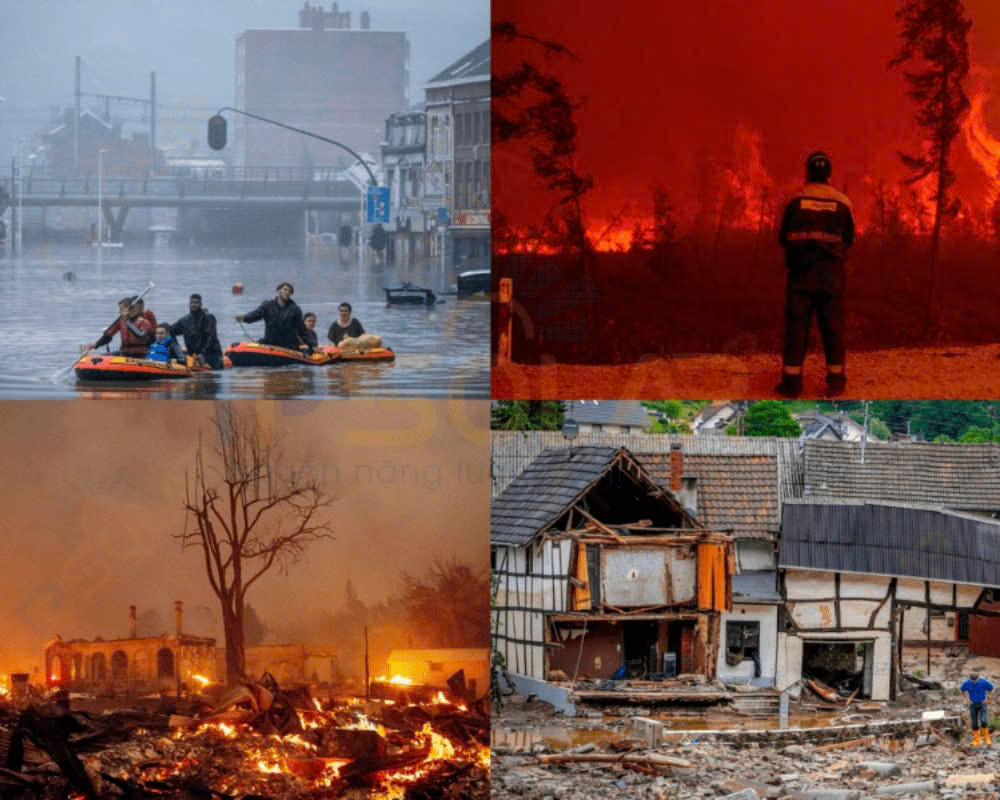 ô nhiễm môi trường