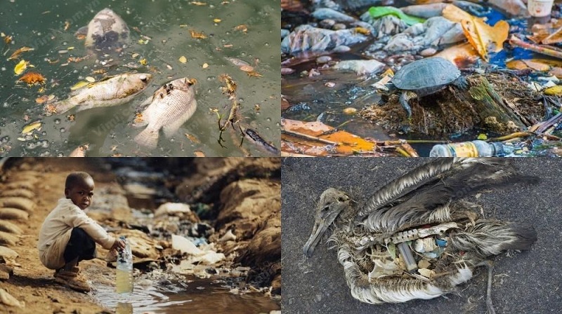 ô nhiễm môi trường nước