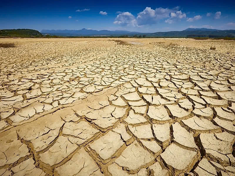 ô nhiễm môi trường đất