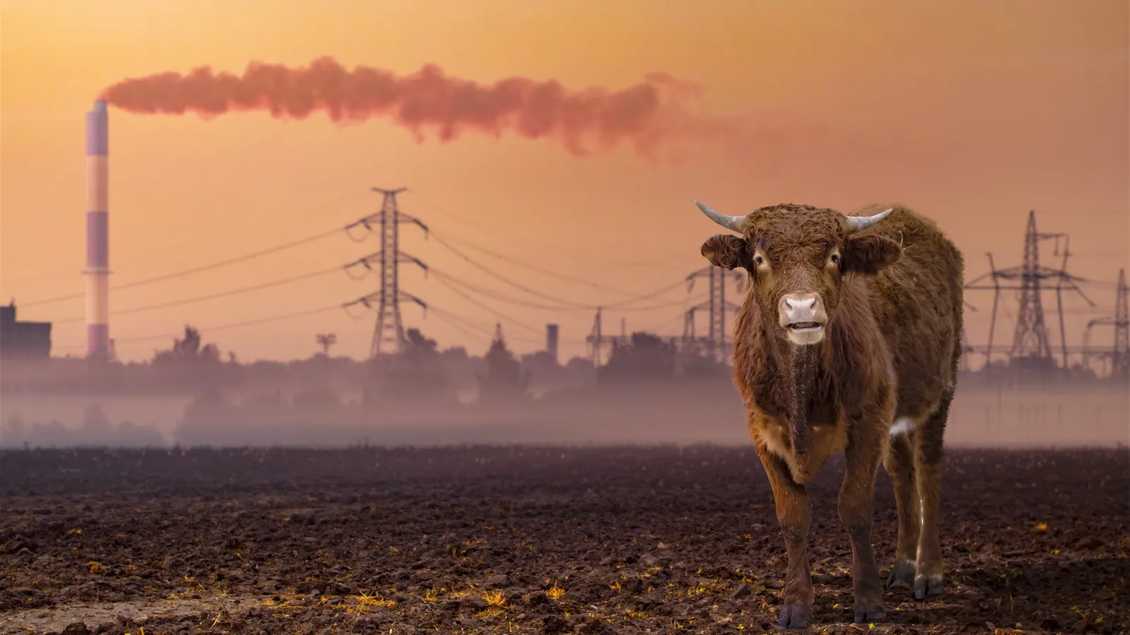 ô nhiễm môi trường không khí