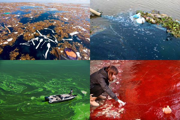 ô nhiễm môi trường nước