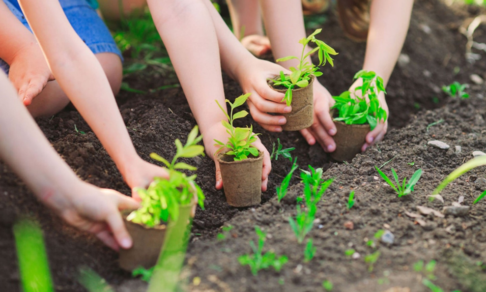 ô nhiễm môi trường đất