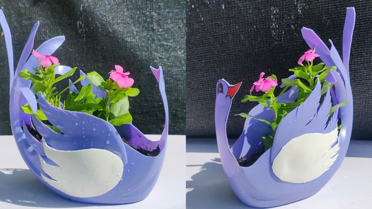 chậu cây tái chế