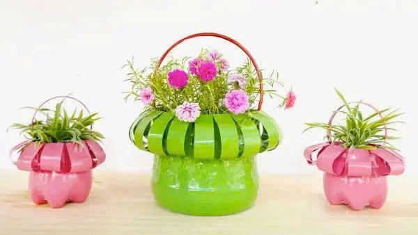 chậu cây tái chế