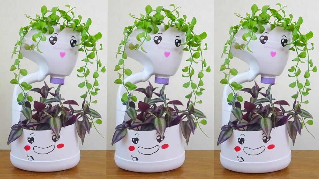 chậu cây tái chế