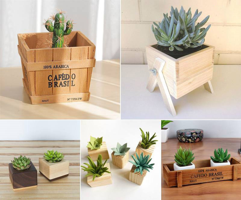 chậu cây tái chế