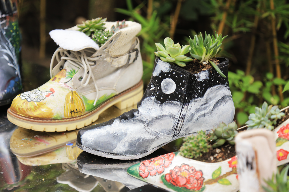 chậu cây tái chế