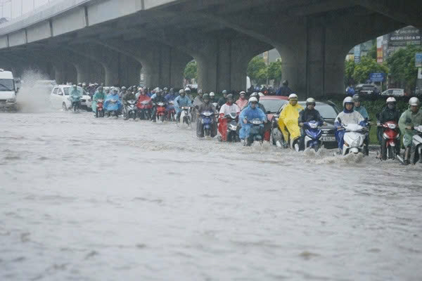biến đổi khí hậu