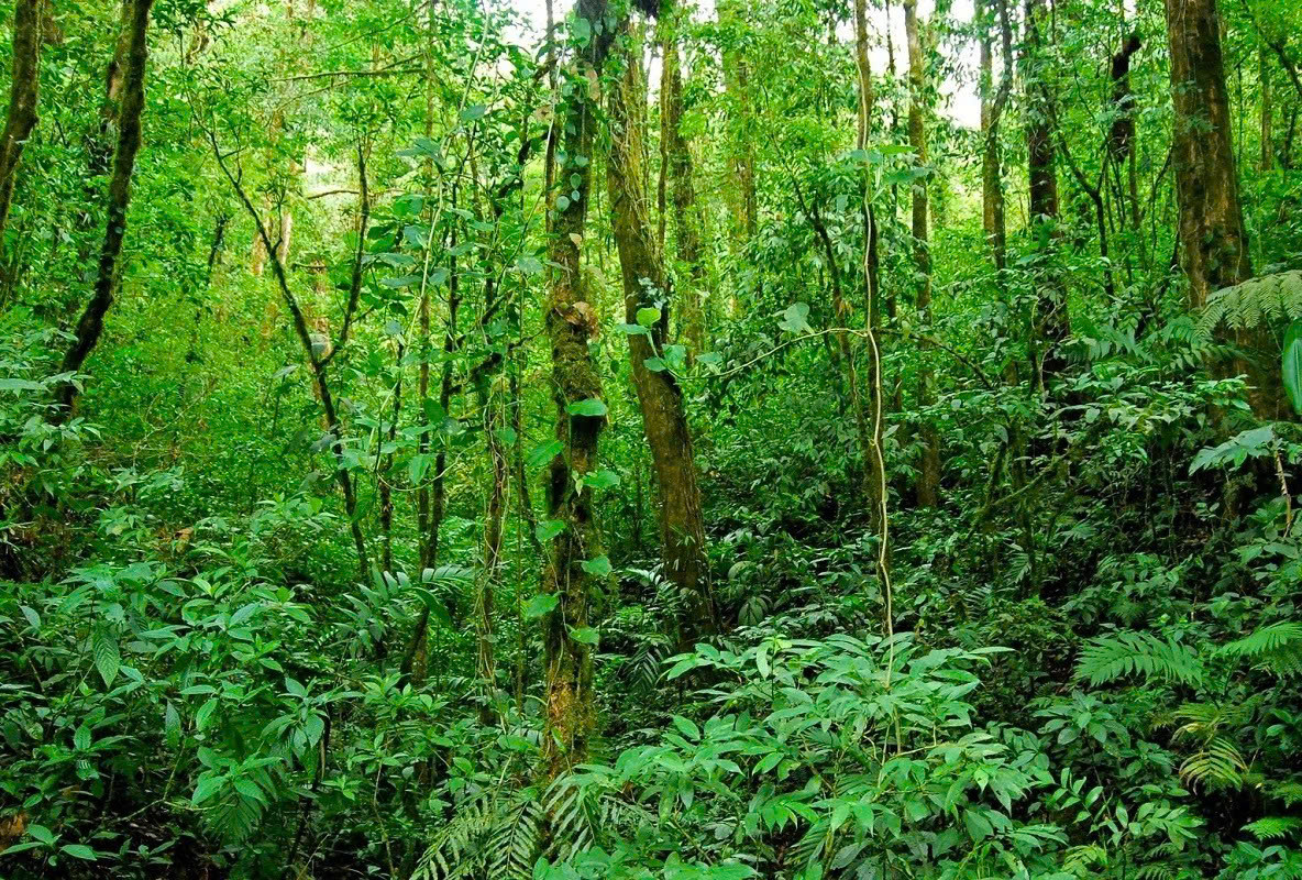 tài nguyên thiên nhiên