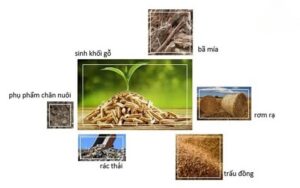 phế phẩm nông nghiệp