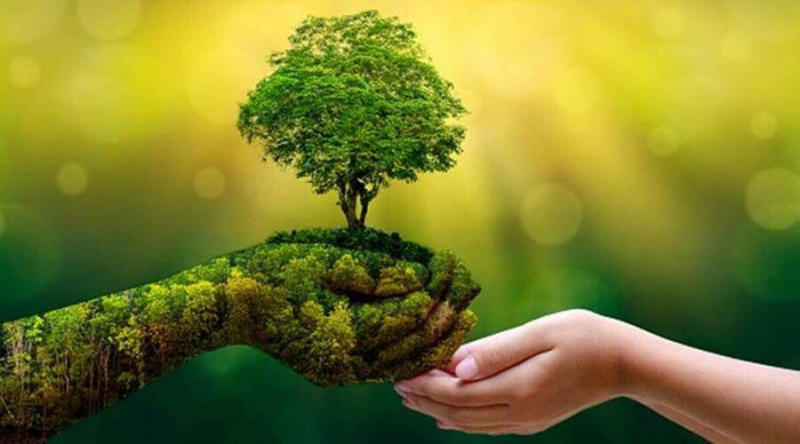 tài nguyên thiên nhiên