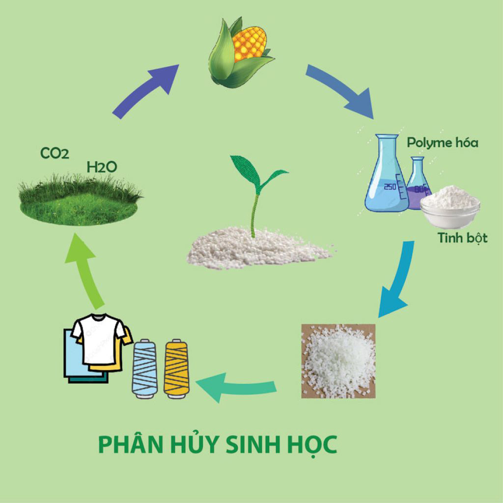 phân hủy sinh học
