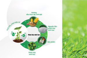 phân hủy sinh học