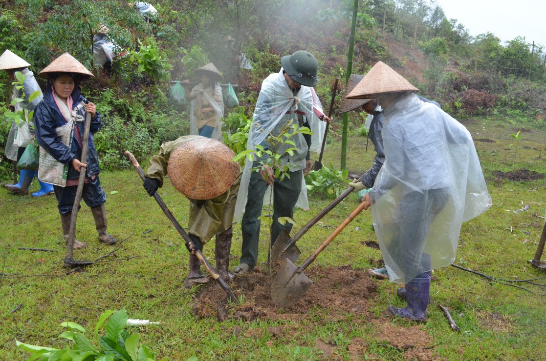 khí thải nhà kính