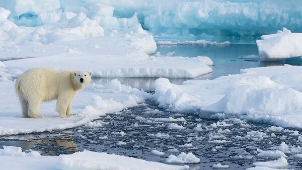 hiệu ứng nhà kính