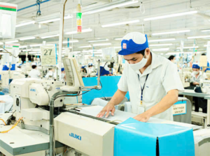 công ty may mặc
