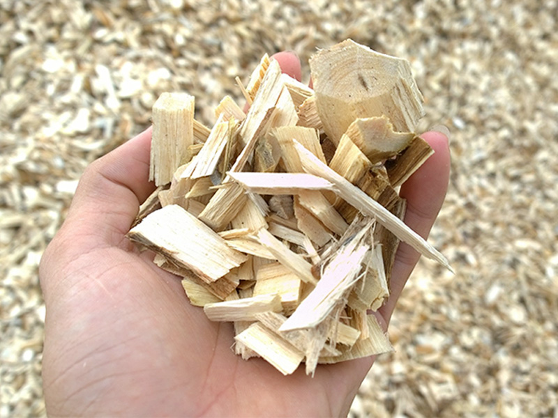 thu mua gỗ phế liệu